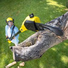 Best Organic Lawn Care Solutions  in Deerfield, IL